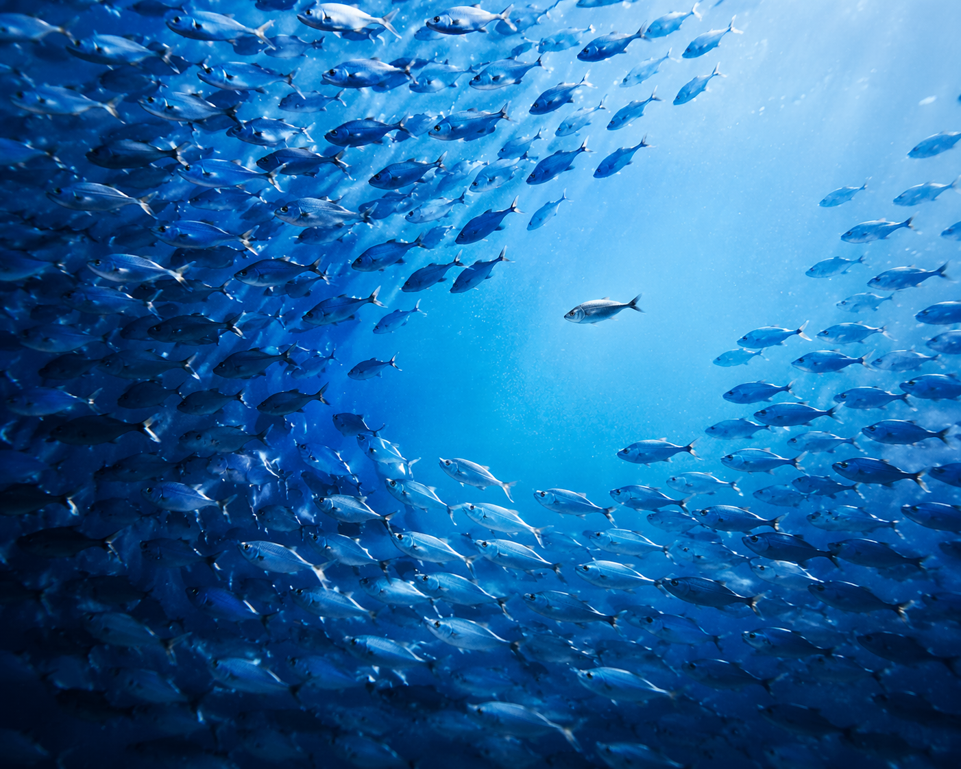 Banc de poissons laissant apparaître un espace lumineux avec un poisson à distance, illustrant la manière dont un enfant peut trouver sa place dans un groupe sans se perdre
